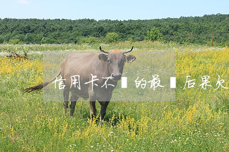 信用卡不還的最壞后果(欠信用卡不還的后果)