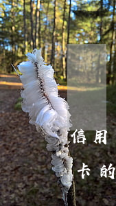 信用卡不還的法律責(zé)任嗎(如果信用卡的錢一直不還犯法嗎)