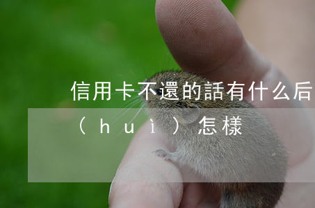 信用卡不還的話有什么后果?(欠信用卡不還會(huì)怎樣)