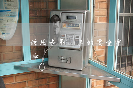 信用卡不還真的要坐牢嗎(信用卡還不上會坐牢嗎?)