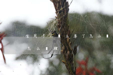 信用卡不還立案了怎么辦(信用卡拖欠立案后怎么處理)