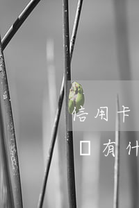 信用卡不還結(jié)果是什么(信用卡不還有什么結(jié)果)