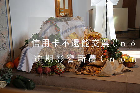 信用卡不還能交農(nóng)合嗎(信用卡逾期影響新農(nóng)合不)