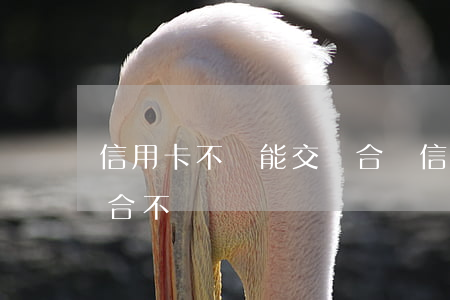 信用卡不還能交農合嗎(信用卡逾期影響新農合不)