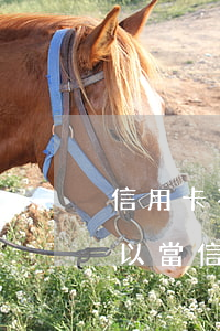 信用卡不還能分期購車嗎(購車分期信用卡可以當信用卡刷嗎)