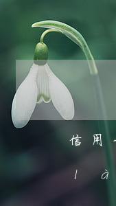 信用卡不還能成為老賴(lài)嗎(老賴(lài)可以申請(qǐng)信用卡嗎)