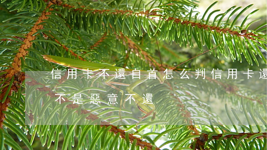 信用卡不還自首怎么判(信用卡還不上怎么辦?不是惡意不還)