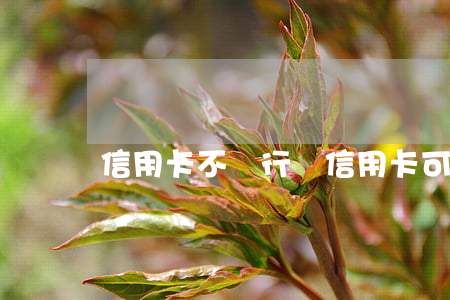 信用卡不還行嗎(信用卡可以不還么)
