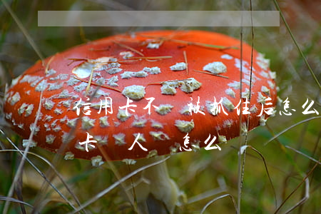 信用卡不還被抓住后怎么辦(人抓起來了信用卡沒人還怎么辦)