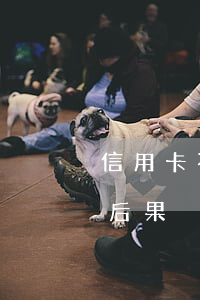 信用卡不還被起訴什么罪名(被信用卡起訴的后果)