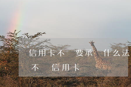 信用卡不還要承擔什么法律(有什么辦法可以不還信用卡)