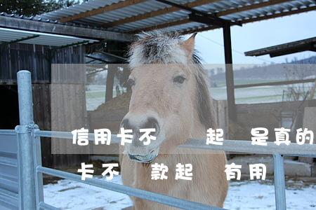 信用卡不還說起訴是真的嗎(朋友用我的信用卡不還款,起訴有用嗎)