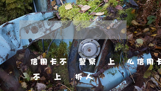 信用卡不還警察會上門么(信用卡的錢不還會不會上門抓人)