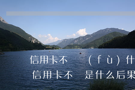 信用卡不還負(fù)什么責(zé)任嗎(信用卡不還是什么后果)
