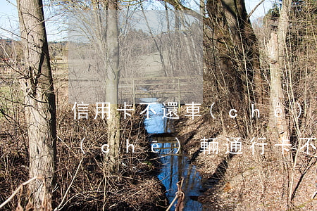信用卡不還車(chē)能上高速嗎(高速車(chē)輛通行卡不還會(huì)怎樣)