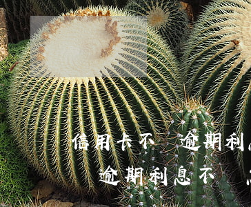 信用卡不還逾期利息不還怎么辦-信用卡不還逾期利息不還怎么辦呢