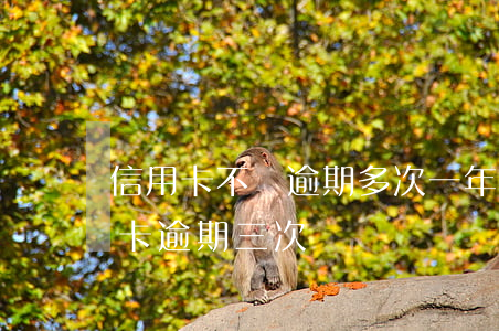 信用卡不還逾期多次(一年內(nèi)信用卡逾期三次)