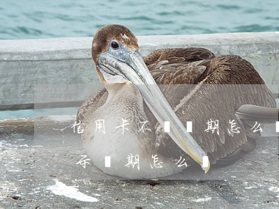 信用卡不還過期怎么辦理嗎(剛辦的信用卡顯示過期怎么辦)