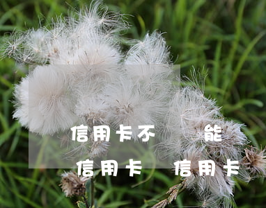信用卡不還還能繼續(xù)使用嗎(不能用信用卡還信用卡嗎)
