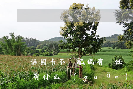 信用卡不還配偶有責任嗎(信用卡不還和家屬有什么關(guān)系)