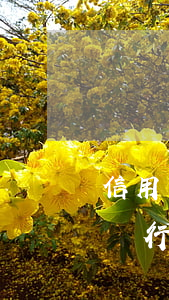 信用卡不還銀行也沒催(沒辦過信用卡卻收到銀行催款)