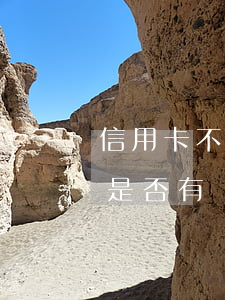 信用卡不還銀行去家里(透支信用卡不還,銀行是否有權(quán)向家人催還)