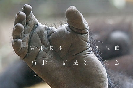 信用卡不還銀行怎么追訴(信用卡還不了被銀行起訴后法院會怎么處理)