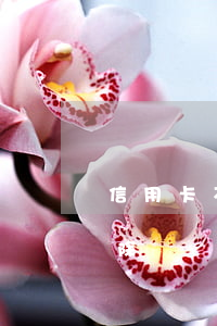 信用卡不還銀行會(huì)開(kāi)除嗎(銀行員工信用卡逾期會(huì)被開(kāi)除嗎)