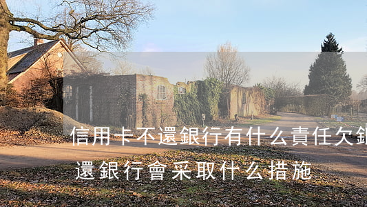 信用卡不還銀行有什么責任(欠銀行信用卡不還銀行會采取什么措施)