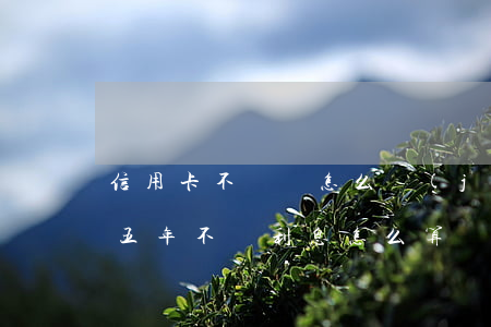 信用卡不還錢怎么計(jì)息(信用卡欠錢五年不還利息怎么算)