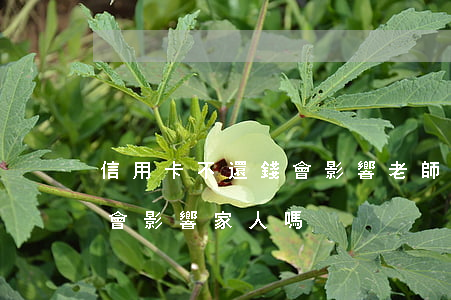 信用卡不還錢會影響老師嗎(欠信用卡不還錢會影響家人嗎)