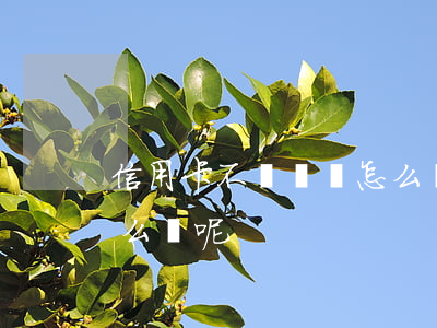 信用卡不還錢會怎么樣呢(信用卡不還錢會怎么樣呢)