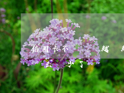 信用卡不還錢會越來越多嗎(為什么信用卡還進去錢少了)