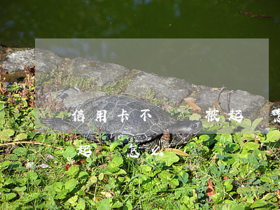 信用卡不還錢被起訴怎么辦(還不起信用卡被起訴怎么辦)