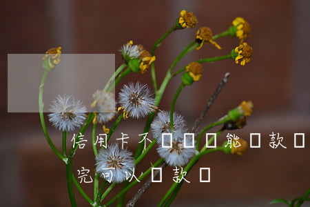 信用卡不還錢還能貸款嗎(信用卡還有錢沒還完可以貸款嗎)