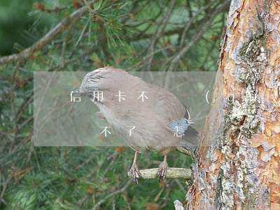 信用卡不還關(guān)機會怎樣(信用卡還不了會怎樣)