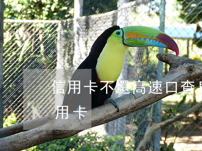 信用卡不還高速口查身份證(通過身份證查信用卡)
