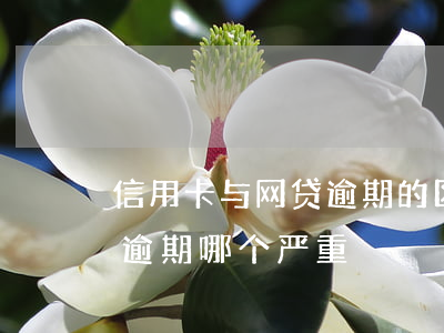 信用卡与网贷逾期的区别(信用卡逾期跟网贷逾期哪个严重)