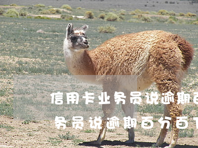 信用卡业务员说逾期百分百下卡-信用卡业务员说逾期百分百下卡是真的吗