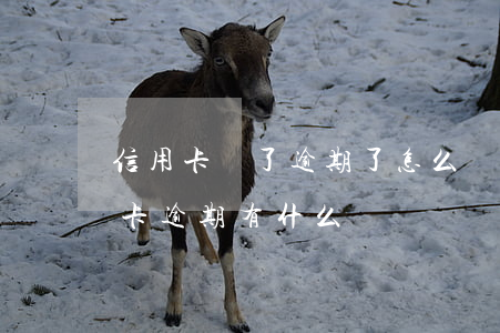 信用卡丟了逾期了怎么辦理嗎-銀行卡信用卡逾期有什么辦