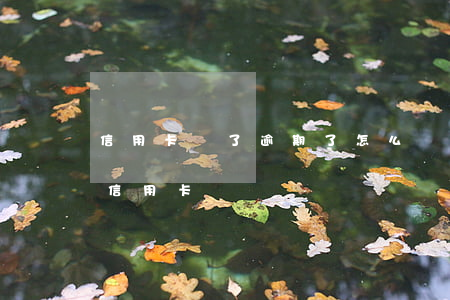 信用卡丟了逾期了怎么辦理(有逾期怎么辦理信用卡)