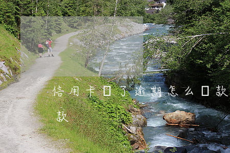 信用卡丟了逾期怎么還款(信用卡丟了如何還款)