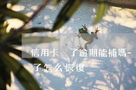 信用卡丟了逾期能補嗎-不小心信用卡逾期了怎么恢復