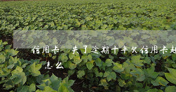 信用卡丟失了逾期十年(欠信用卡超過十年沒還怎么辦)