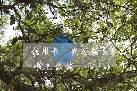信用卡丟失逾期了怎么處理(逾期停用的信用卡怎么恢復(fù))