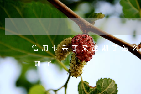 信用卡丢了 又逾期了怎么办（信用卡丢了 又逾期了）