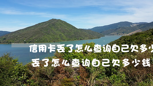 信用卡丢了怎么查询自己欠多少钱-信用卡丢了怎么查询自己欠多少钱了