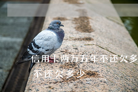 信用卡两万五年不还欠多少(信用卡两万五年不还欠多少)