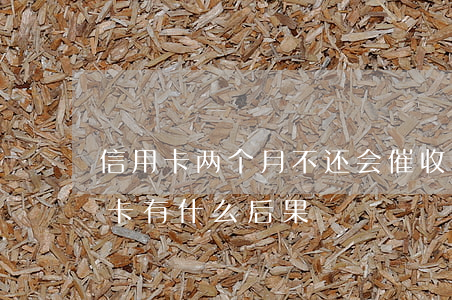 信用卡两个月不还会催收吗(两个月不还信用卡有什么后果)