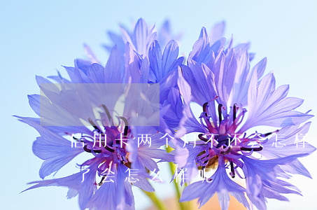 信用卡两个月不还会怎样(信用卡二个月没还了会怎么样呢)